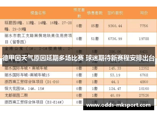 德甲因天气原因延期多场比赛 球迷期待新赛程安排出台