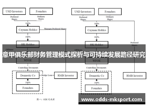 意甲俱乐部财务管理模式探析与可持续发展路径研究