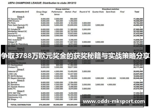 争取3788万欧元奖金的获奖秘籍与实战策略分享