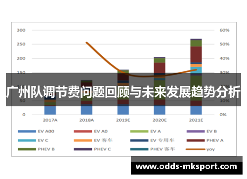 广州队调节费问题回顾与未来发展趋势分析