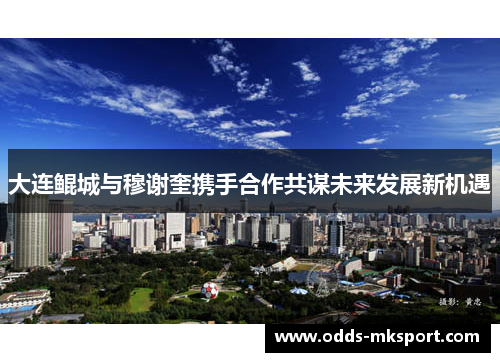 大连鲲城与穆谢奎携手合作共谋未来发展新机遇